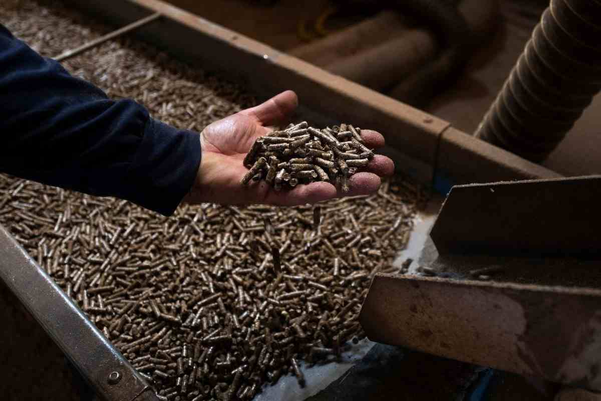 pellet con fondi di caffè come si fa funziona