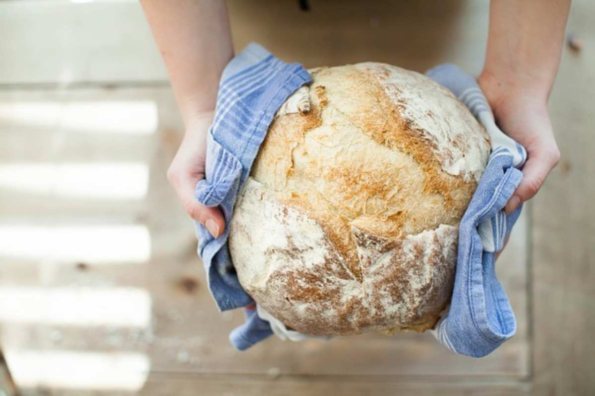 pane homemade