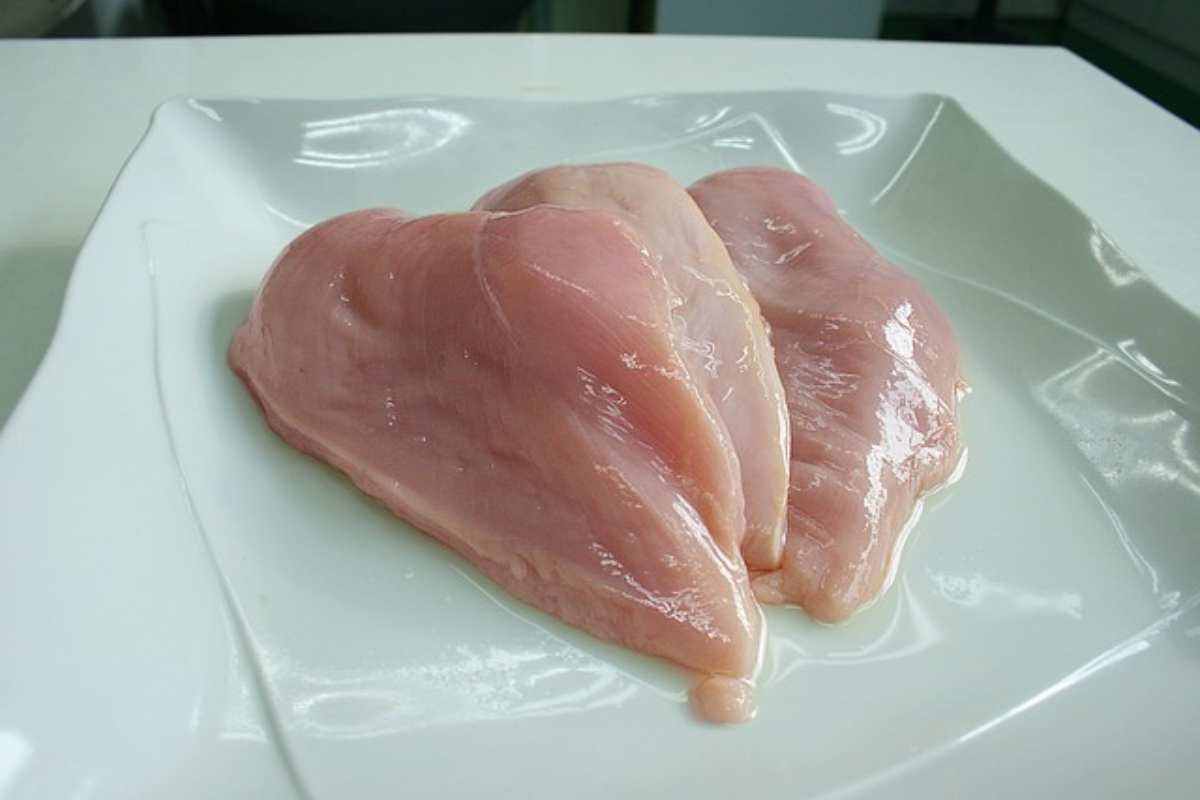 Petto pollo crudo