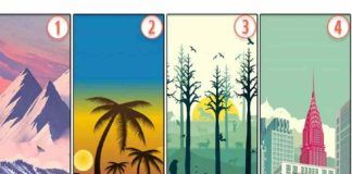 test paesaggio