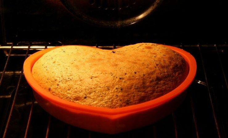 forno statico ventilato dettagli