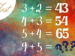 test matematico