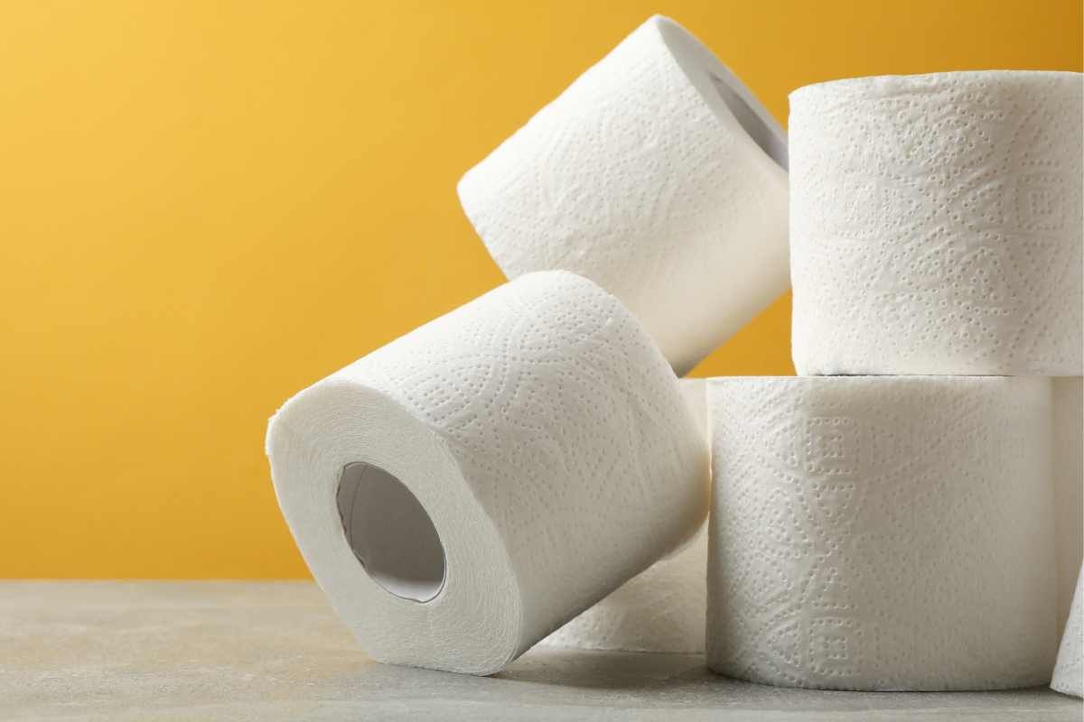 Le alternative per ridurre il consumo di carta igienica