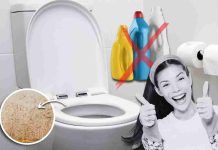 Ceramiche bagno