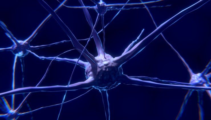 Il nostro cervello crea nuove connessioni neuronali anche attraverso il sonno e la meditazione
