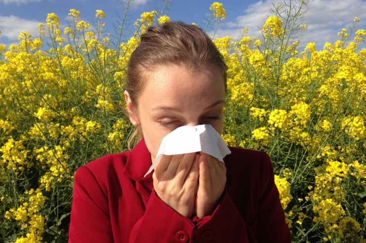 Ecco i sintomi di allergia dal polline, come diagnosticarla e i trattamenti e rimedi da adottare