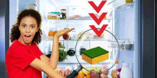 Trucco spugnetta frigo