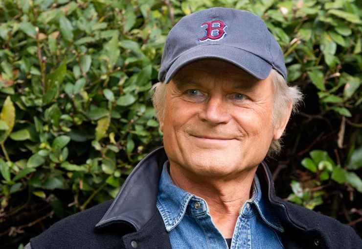 Terence Hill artista