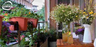 Balcone fiorito
