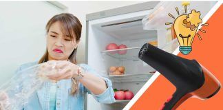 Dì addio alla muffa sul cibo, così lo conservi grazie all’asciugacapelli