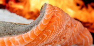 Pesce salmone