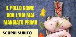Pollo ricetta