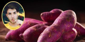 Tipi di patate esistenti