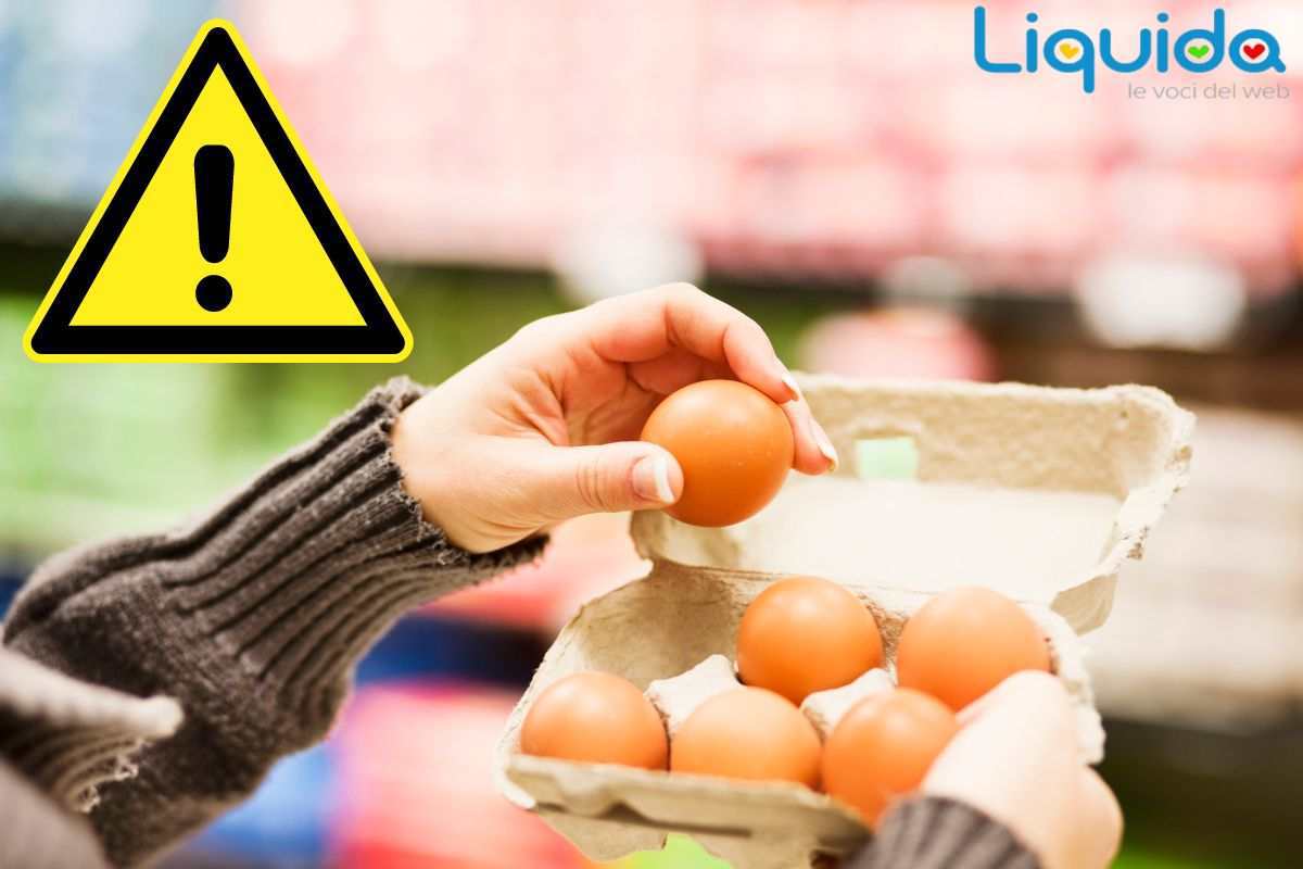 I codici nelle confezioni delle uova sono sicuri