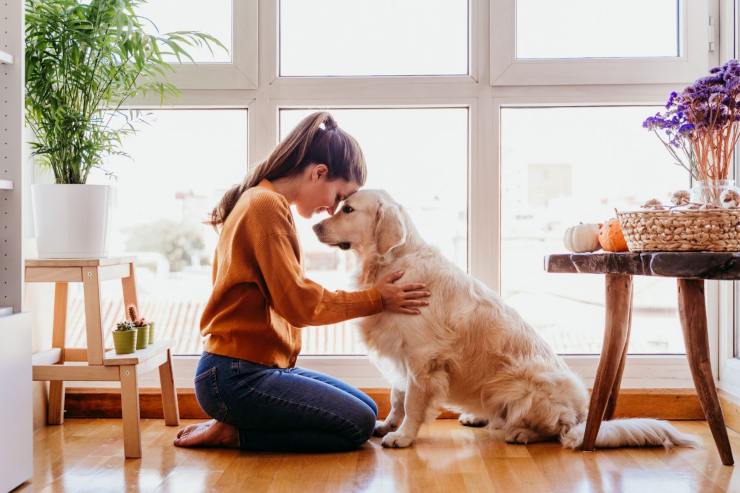 Gli abbracci causano stress ai cani