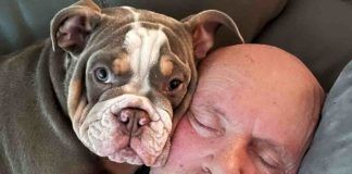 Il cane gli mangia l'alluce, ma così facendo lo salva