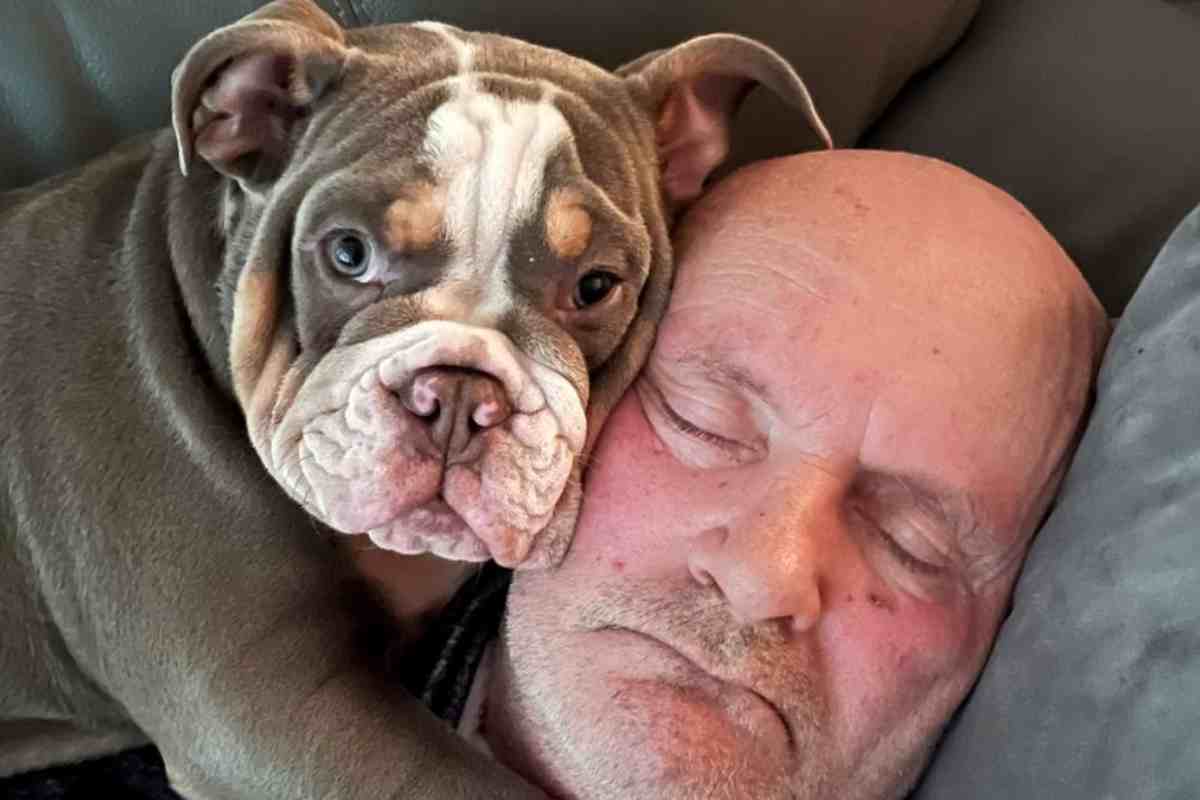 Il cane gli mangia l'alluce, ma così facendo lo salva