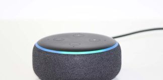 Alexa accesa