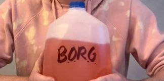 borg tanica