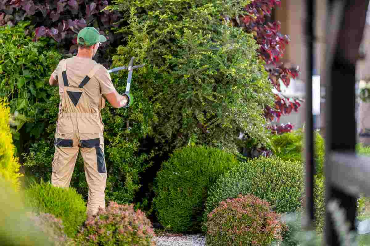 Trucchi per pulire il giardino