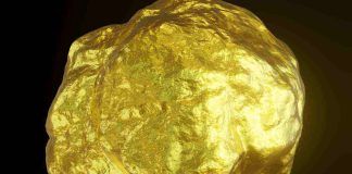 Pepita d'oro incredibile