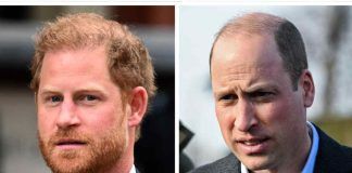 william furioso con harry