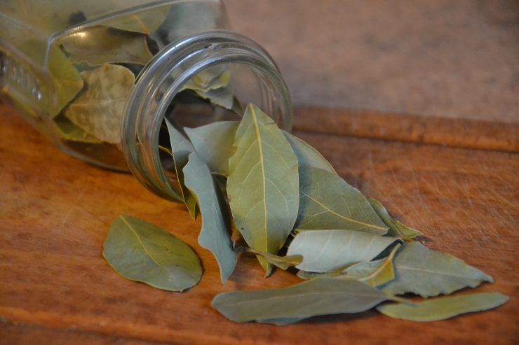 Bollire l'alloro in una pentola con acqua calda