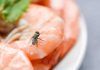 Come eliminare le mosche in casa