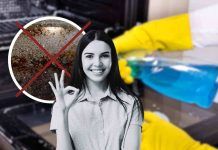 Eliminare l'olio incrostato dal forno