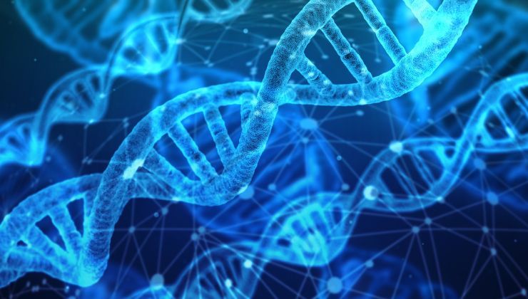 Riprogrammare l'esistenza: cosa hanno scoperto i ricercatori 