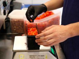 Quali sono i migliori robot da cucina