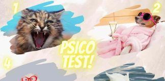 Test della personalità: scegli l'immagine