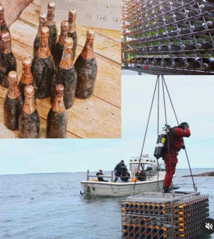 Veuve Clicquot, champagne in fondo al mare