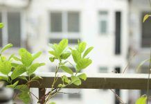 Arreda così il tuo balcone piccolo, sembrerà più grande