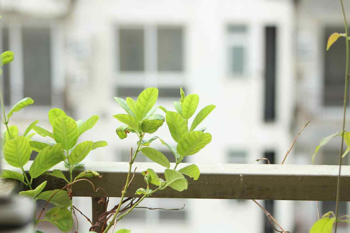 Arreda così il tuo balcone piccolo, sembrerà più grande