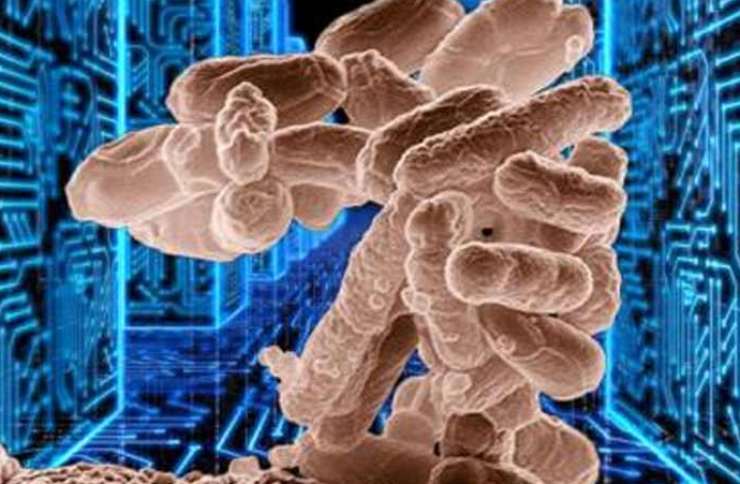 effetto antibiotici contro batteri: quando non serve assumerli 