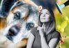 Cane anziano: quali oggetti sono utili in casa