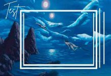 Indica cosa vedi e scopri te stesso