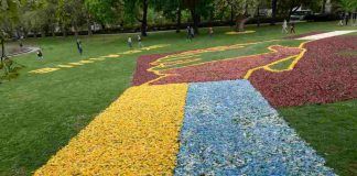 tappeto di fiori a due passi da Roma