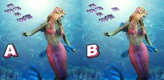 test delle differenze