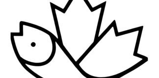 test immagine