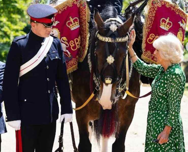 Regina Camilla, nuova arrivata in famiglia 