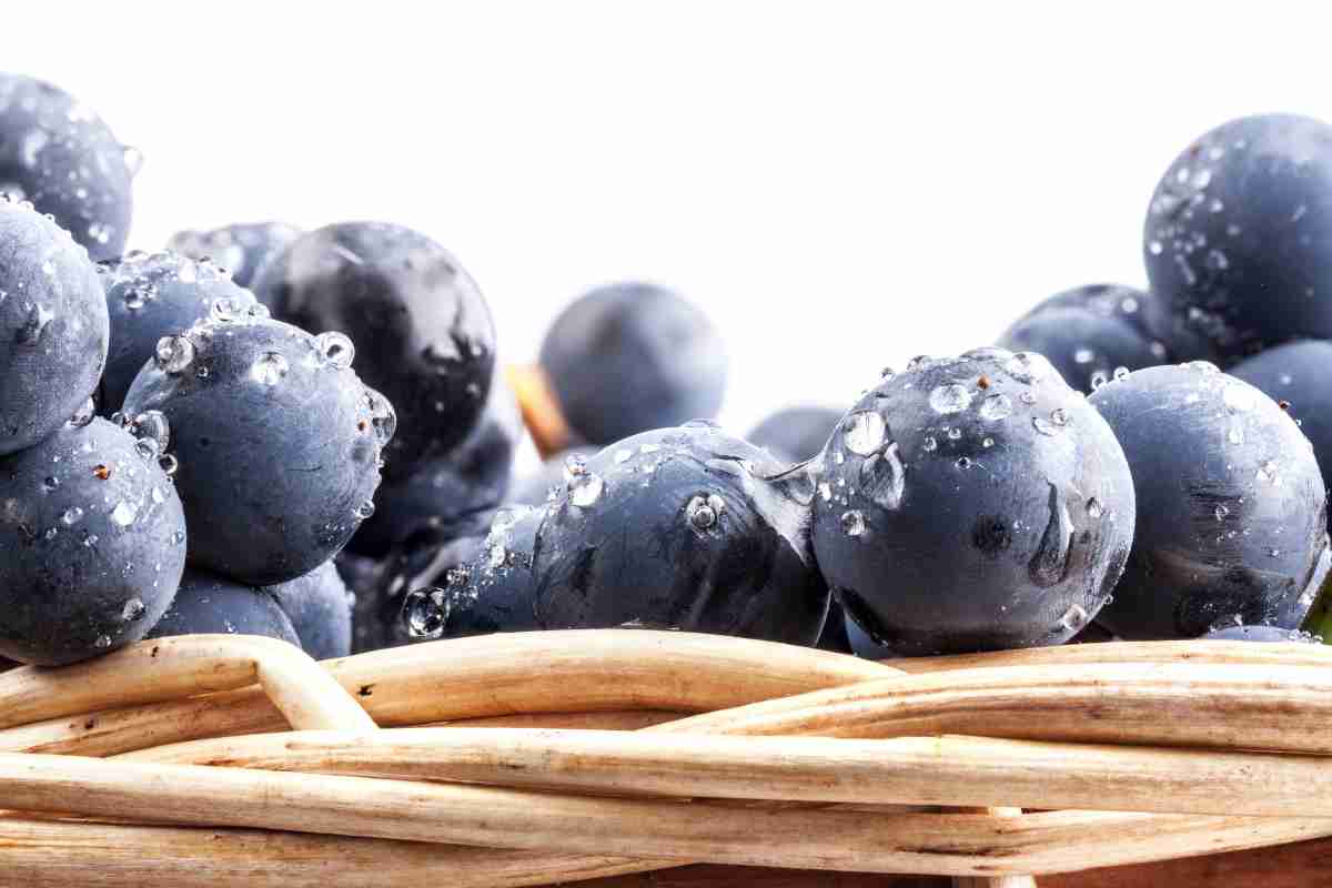 Dieta ai frutti di bosco e all'uva, come funziona e quali sono i benefici