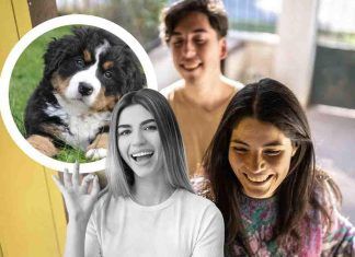 Cosa fa il cane?