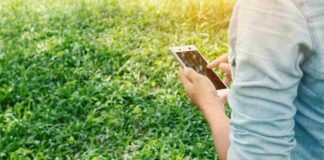 App per insetti