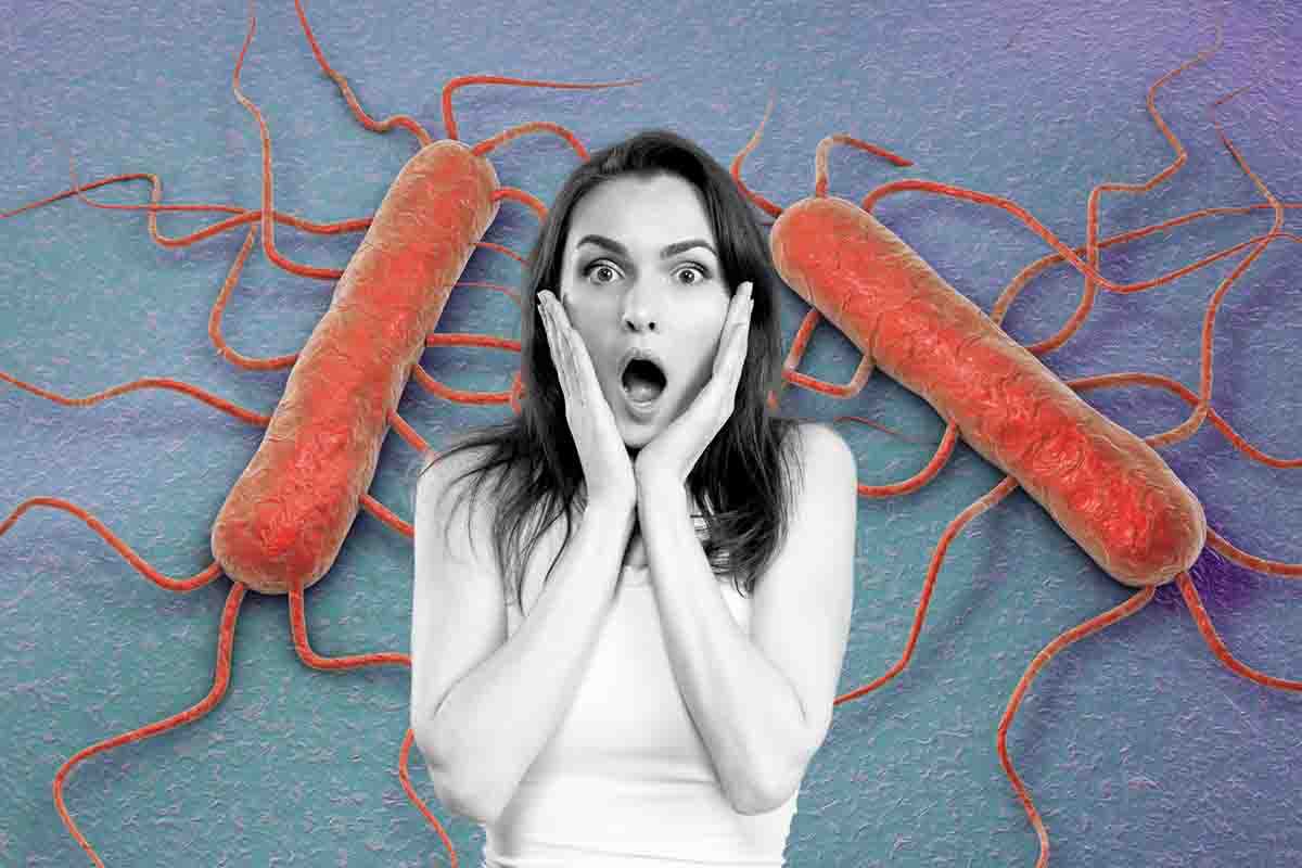 listeria allarme ritiro prodotto antipasti