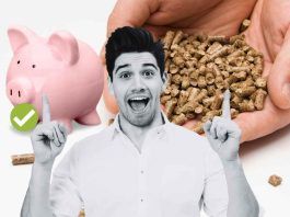Pellet, perché acquistarlo ora conviene