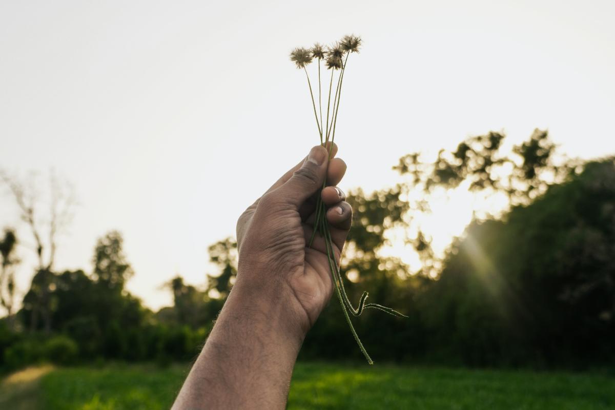 Come riconoscere le persone sensibili