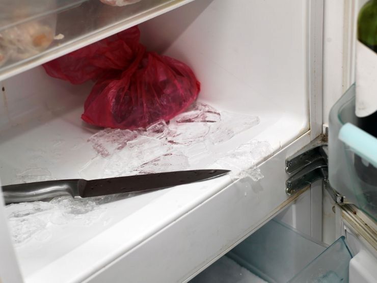 errori quando sbrini il freezer