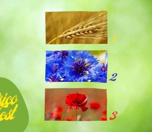 Test del fiore